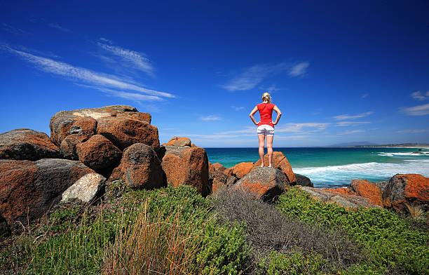 istock Red Rocks and Sapphire Oceans, Australia 513938032