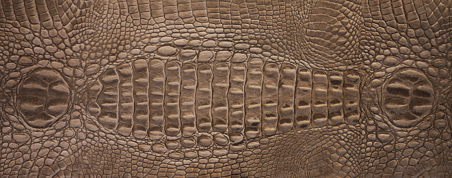 Brown crocodile leather pattern for background and texture
