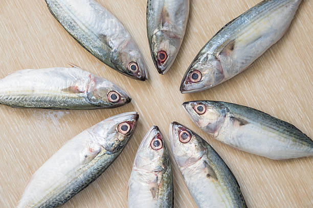 istock Fresh sea fish on wooden table 513943196