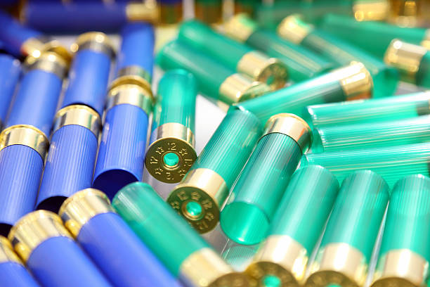 istock Shotgun Cartridges 513943998