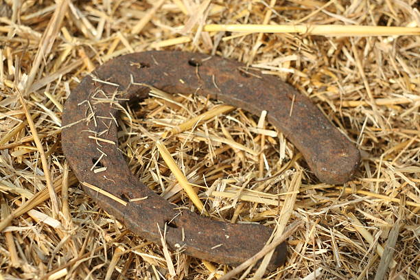 istock Rusty horseshoes on a straw background. 513945124