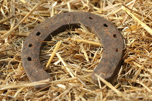 istock Rusty horseshoes on a straw background. 513945646