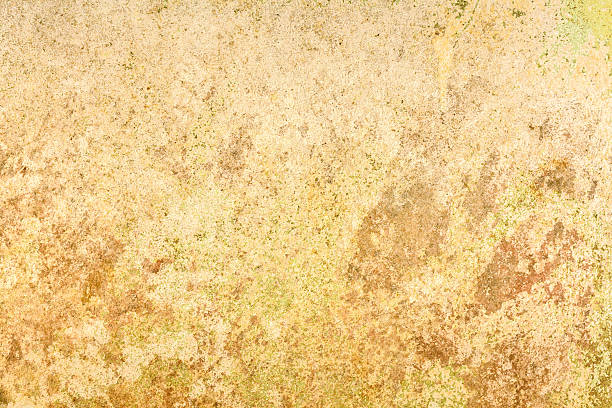 istock Simple grunge concrete painted wall background and texture 513946142