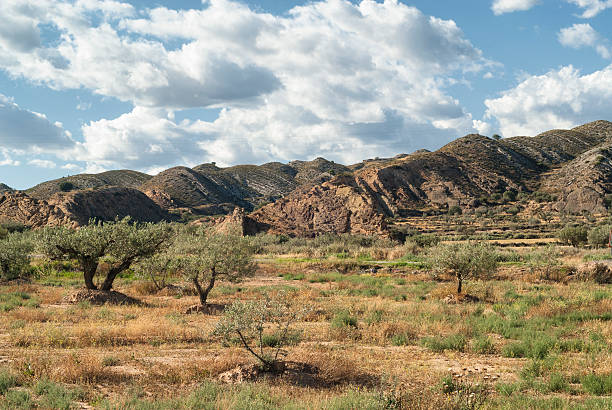 istock Landscape in Spain at summer 513947724