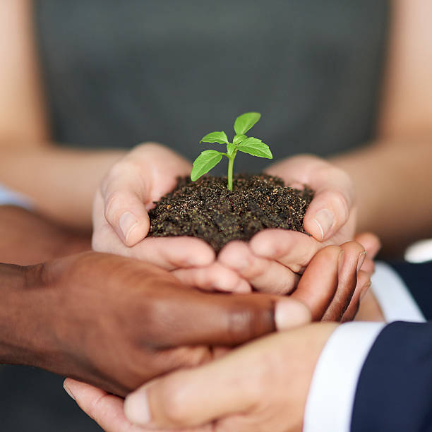 istock Nurturing the company from birth 513949110