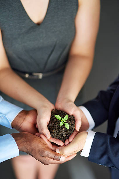 istock Growing their company from birth 513949336