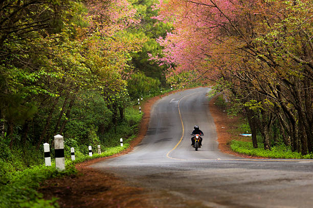 istock Motorcycle on Romantic Road at Chiang Mai Thailand 513950756