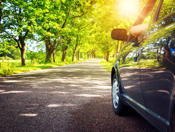 Car on asphalt road in summer Car on asphalt road on summer day at park country road photos stock pictures, royalty-free photos & images