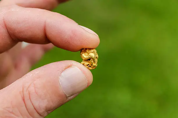 Gold Nuggets mining from the River in Austria, real Gold.