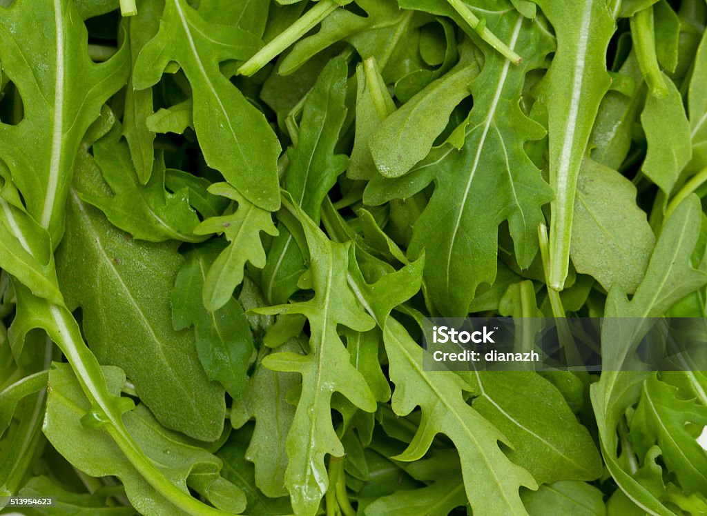 rucola background Appetizer Stock Photo