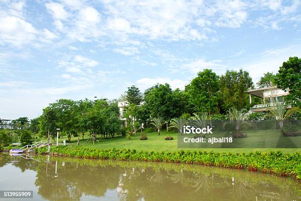 Lakeside View Stock Photo - Download Image Now - British Culture, England, Forest