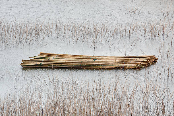 Bamboo raft stock photo