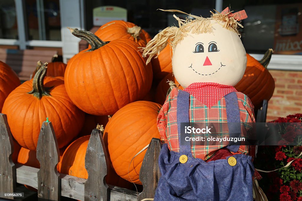 Hallooween Doll and Pumpkin Halloween Doll and Pumpkin Agricultural Fair Stock Photo