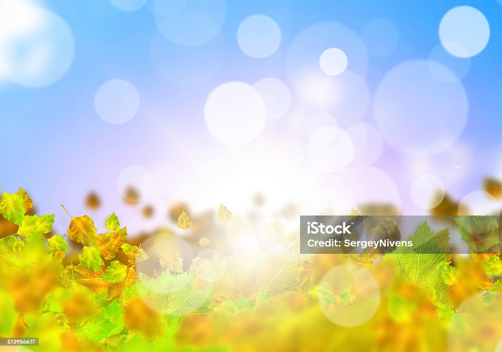 Autumn leaves Background conceptual image with autumn leaves. Place for text Abstract Stock Photo