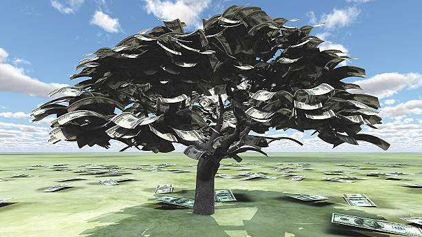 nosotros hundred dollar bill árboles - money doesnt grow on trees money tree wealth paper currency fotografías e imágenes de stock