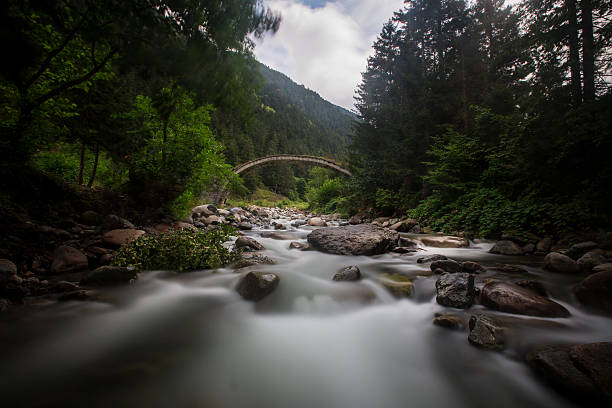 ponte de pedra - bridge beauty in nature travel destinations yangshuo - fotografias e filmes do acervo