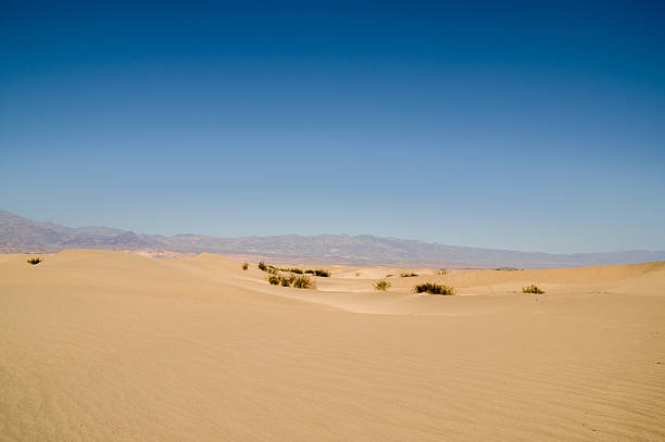 istock sand dune landscape Death Valley National Park 513960901