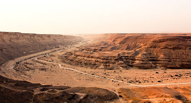 istock The Desert ElRayan Valley Sahara 513961179