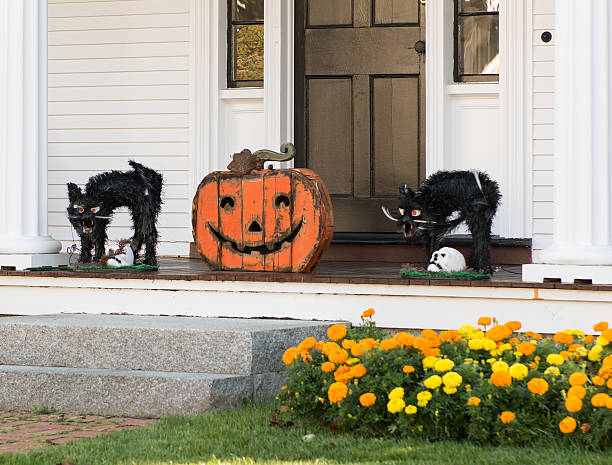 istock Halloween Black Cats guarding doorstep 513986815