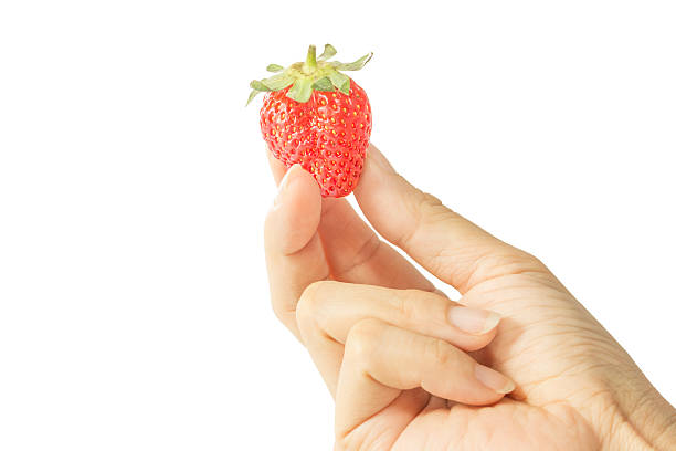 istock One fresh strawberries in human hand on white background. 513987106