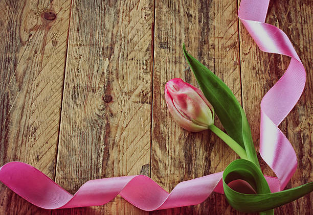 istock pink tulip with silk ribbon 513989246