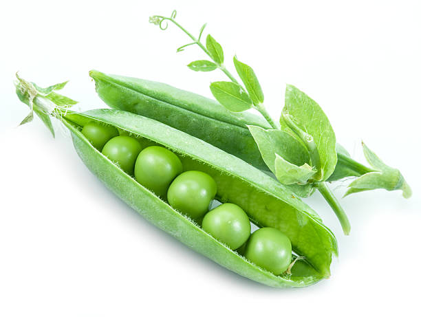 영업중 완두콩 꼬투리. - green pea pea pod sweet food freshness 뉴스 사진 이미지