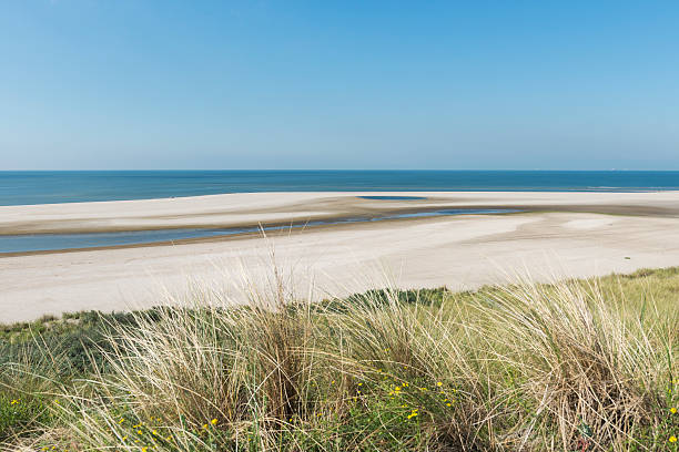 istock Beach at Maasvlakte Rotterdam 513989456