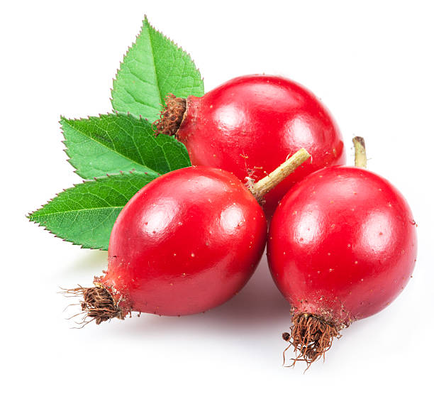 Rose-hips with leaf. Rose-hips with leaf on a white background. wild rose hip stock pictures, royalty-free photos & images