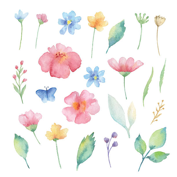 akwarela zestaw kwiaty. - wallpaper brush illustrations stock illustrations