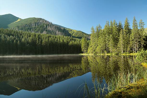 istock Mountain pond in Tatra National Park 513991629