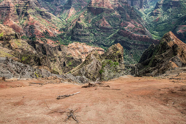 istock Waimea Canyon of Kauai from Above 513992007