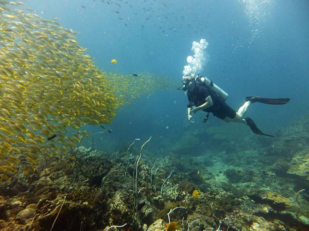 istock Scuba Diving in Thailand 513992058