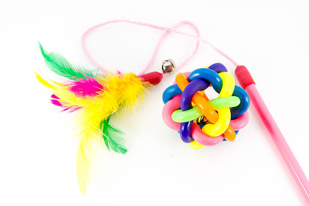 istock Cat Toy with Bell and Feather 513992265