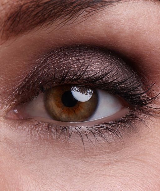 istock Vision of beauty 513992279
