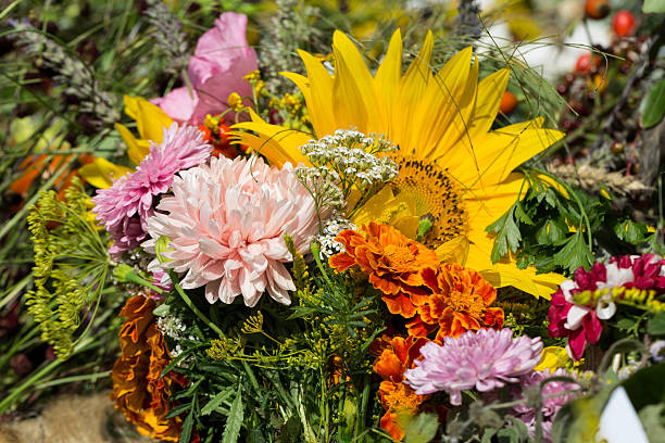 istock bouquets of flowers and herbs 513992318