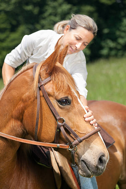 istock female rider stroking horse 513998592