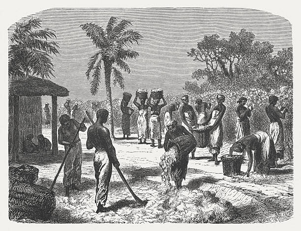 Cotton plantation in southern United States, wood engraving, published 1880 Harvesting on a cotton plantation in the southern United States. Historical view of the 19th century. Wood engraving, published in 1880. slave plantation stock illustrations
