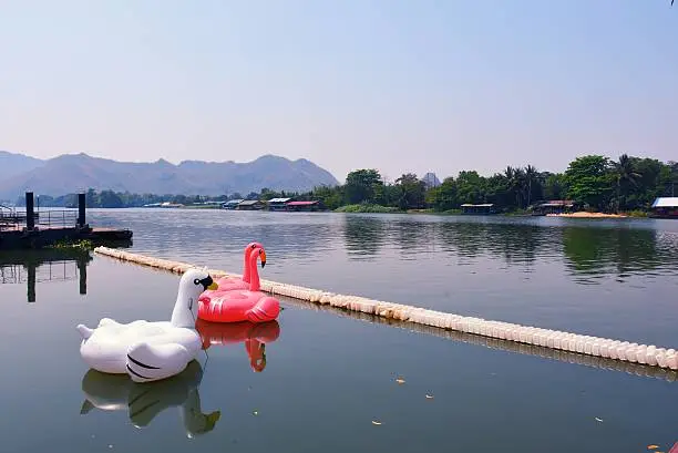swans toy on riverkwai river kanchanaburi province thailand