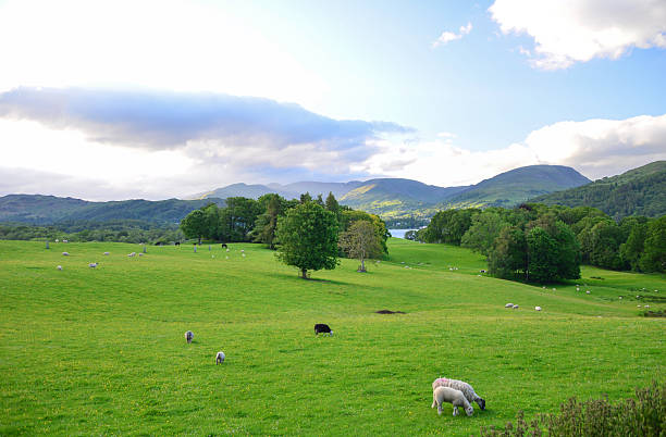 istock Countryside  in the lake district 514003688
