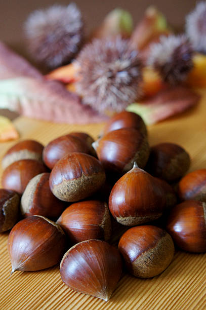 foto de castanha - chestnut food nut fruit imagens e fotografias de stock