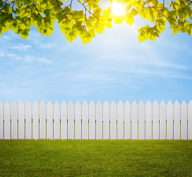 Back yard White wooden fence in the back yard with copy space picket fence stock pictures, royalty-free photos & images