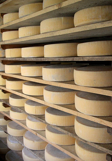 치즈 의 유제품 선으로나 마운틴 헛 - milky cheese 뉴스 사진 이미지