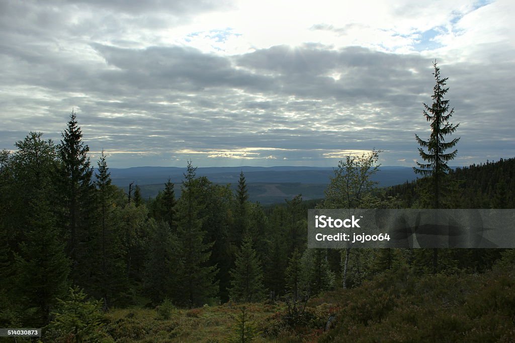 View From Haestskaeret View from the mountain hästskär in Värmland, Sweden. 2000-2009 Stock Photo