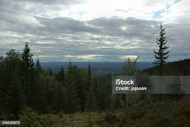 View From Haestskaeret Stock Photo - Download Image Now - 2000-2009, 21st Century, Beauty In Nature