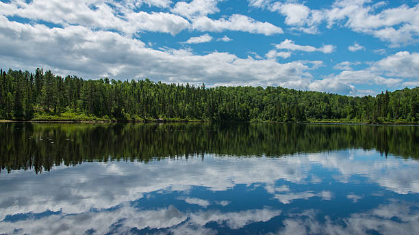 istock Small Lake amongst the woods, cloudy summer sky. 514031939