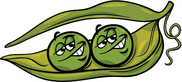 Cartoon Humor Concept Illustration of Like Two Peas in a Pod Saying or Proverb