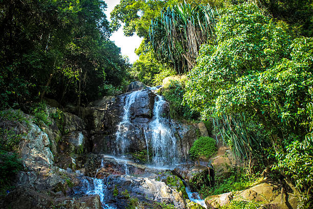 istock Waterfall with pool in tropical jungle, Na Muang, Koh Samui 514033117