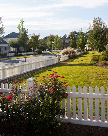 Neighborhood with houses and white picket fence.