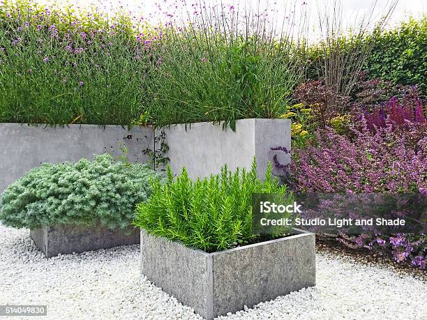 Beautiful Garden With Contemporary Design Stock Photo - Download Image Now - Flower Pot, Concrete, Modern