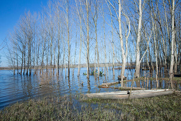 istock The river of dream 514053548